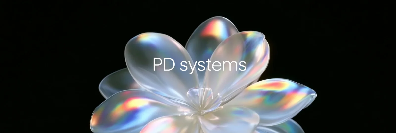 PD Systems wordmark